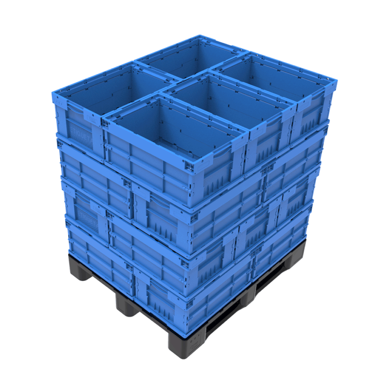 100_28656119-9443-4c58-b77d-a-768x768